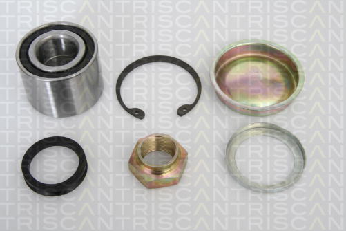 TRISCAN Radlagersatz ( Radlager ) hinten CITROEN C3