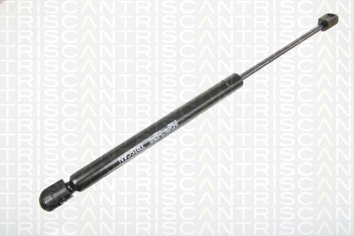 TRISCAN Gasfeder vorne AUDI A8
