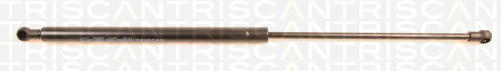 TRISCAN Gasfeder hinten CITROEN C5